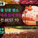 주말 단풍 여행 베스트 10