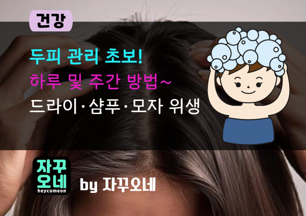 두피 관리 초보 루틴 | 드라이 거리 15–20cm·샴푸 2회·모자 세탁 주기