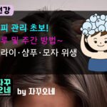 두피 관리 초보 루틴 | 드라이 거리 15–20cm·샴푸 2회·모자 세탁 주기