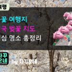벚꽃 개화시기별 전국 여행 루트