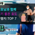 부모님과 가기 좋은 효도 여행지 추천