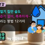 가습기 없이 집안 습도 올리는 법 12가지 | 전기요금 아끼는 안전 루틴