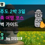제주도 2박 3일 효율적인 가족 여행 추천 코스 동선 가이드 제안