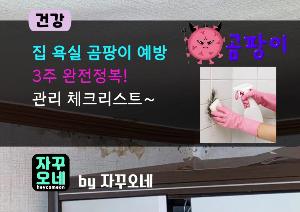 욕실 곰팡이 3주 완전정복 | 결로 제로·실리콘 코팅·환풍기 관리 체크리스트