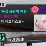 욕실 곰팡이 3주 완전정복 | 결로 제로·실리콘 코팅·환풍기 관리 체크리스트