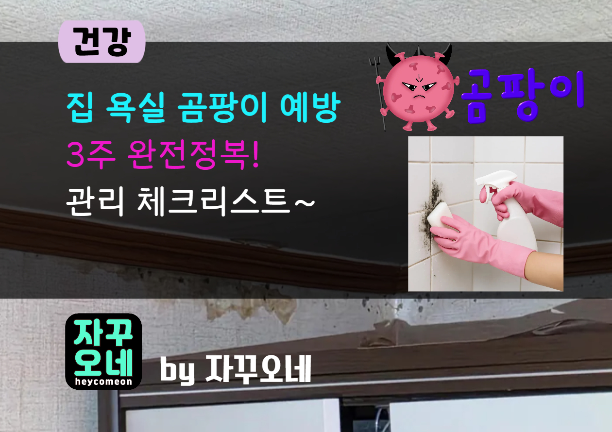 욕실 곰팡이 3주 완전정복 | 결로 제로·실리콘 코팅·환풍기 관리 체크리스트